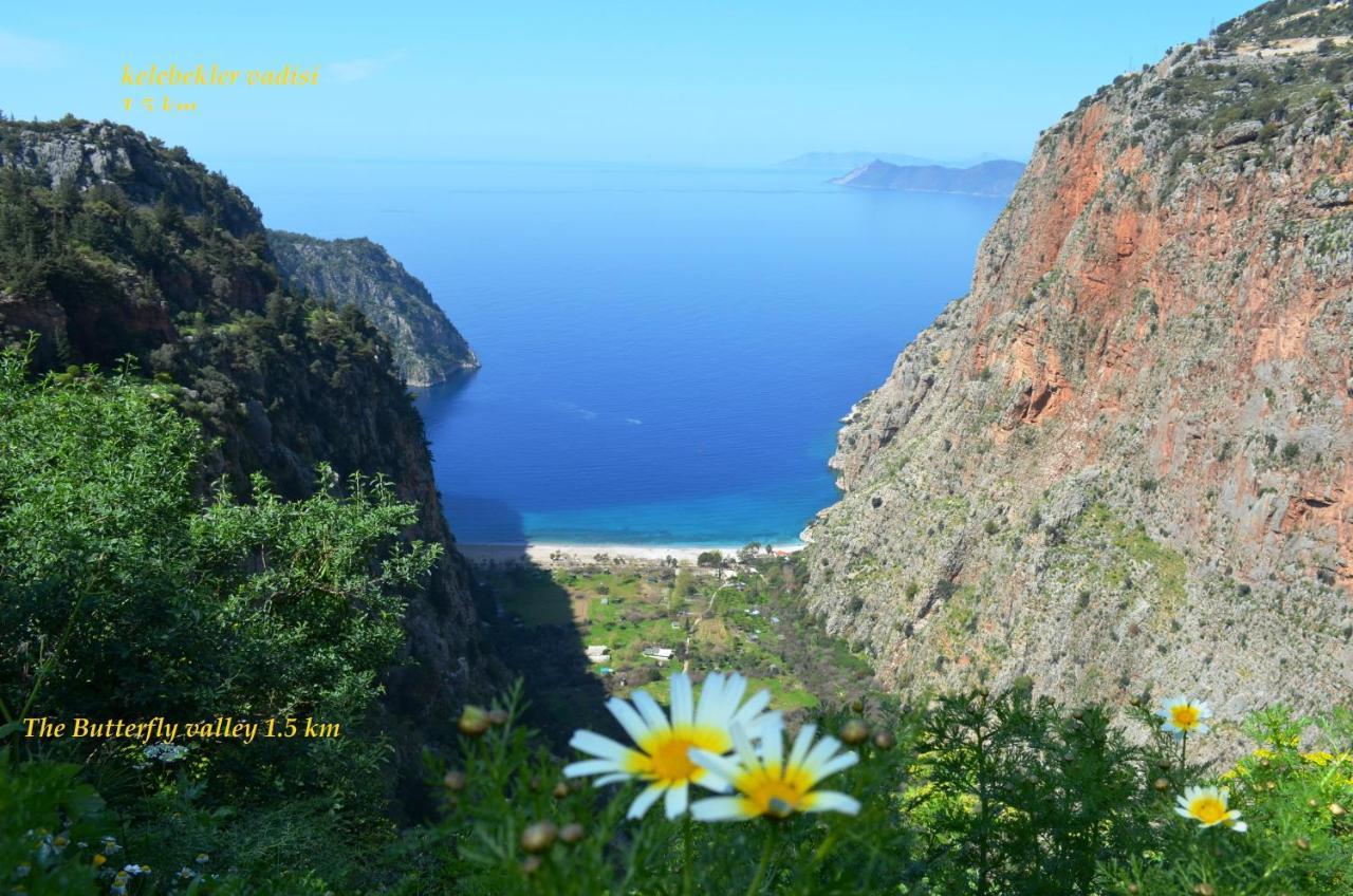 California Apart Otel Oludeniz Ngoại thất bức ảnh